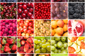 Square boxes with various fruits that are botanical berries. Farming supplies canada, berry farming supplies, farming supply shop, farming supply store, farming supplies store, farming supplies near me, berry trays, mechanical berry harvesting