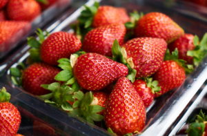 Strawberries in a plastic tray. Farming supplies canada, berry farming supplies, farming supply shop, farming supply store, farming supplies store, farming supplies near me, berry trays, mechanical berry harvesting