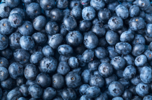 An image full of blueberries. Farming supplies canada, berry farming supplies, farming supply shop, farming supply store, farming supplies store, farming supplies near me, berry trays, mechanical berry harvesting 