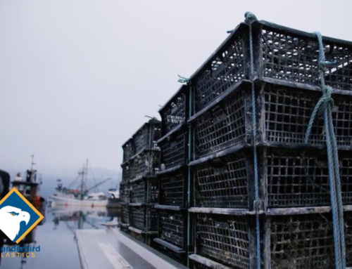 Shellfish Aquaculture and The “Supertray” Shellfish Grow-Out System