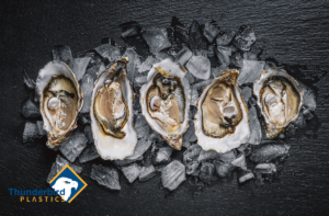 Oysters on a black background. oyster aquaculture bc, oyster aquaculture,shellfish aquaculture bc,shellfish aquaculture and the environment, aquaculture industry in canada, aquaculture systems, aquaculture canada, aquaculture in bc, aquaculture farmer, aquaculture association of canada, aquaculture jobs canada, aquaculture sustainability, aquaculture companies in canada, aquaculture supplies, Oyster farming supplies, shellfish aquaculture equipment, oyster grow-out systems, oyster trays and cages, oyster farming gear, shellfish farming containers, oyster farming rafts, aquaculture supplies for oysters, oyster cultivation tools, oyster seed trays, oyster farming nets, oyster farming structures, shellfish nursery supplies, sustainable oyster farming equipment, oyster farming materials, oyster farming accessories, oyster farming kits, commercial oyster farming supplies, oyster farming baskets, oyster farming solutions.