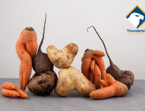 Sustainable Agriculture and Food Waste: Does the Ugly Produce Movement Help?