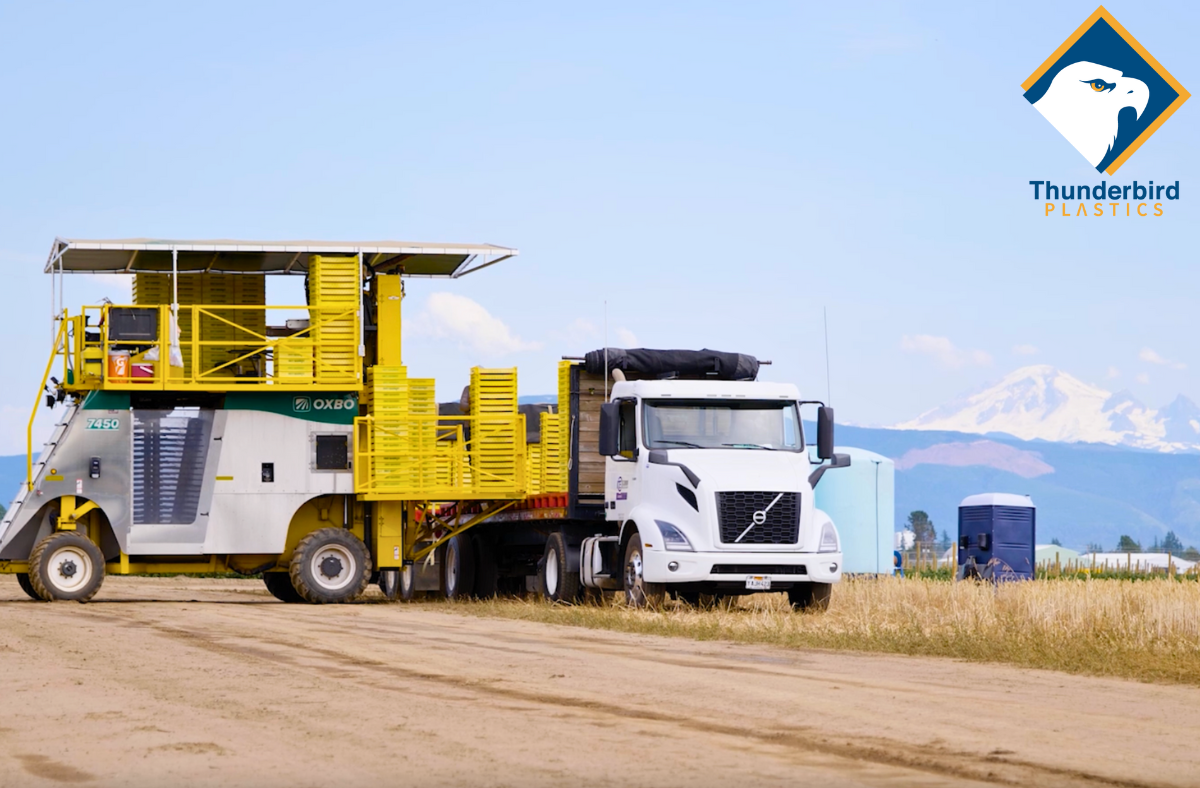 An Oxbo brand mechanized berry harvesting machine with a blue sky and mountain in the background. Yellow crates are stacked up on the ride-on portion which are used for storing the harvested berries.

Tags: Agricultural totes, Agricultural bins, Farm storage bins, Bulk agricultural containers, Heavy-duty farm totes, Reusable agricultural bins, Stackable agricultural totes for produce, Food-grade farm storage bins, Plastic totes for agricultural use, Ventilated harvest bins for farming, Durable bulk bins for fruits and vegetables, FDA-approved agricultural containers, Ventilated fruit bins for harvesting, Farm crates for produce transport, Agricultural storage solutions, Sustainable farm packaging, Buy agricultural totes near me, Wholesale farm bins for sale, Best bins for farming operations, Agricultural storage suppliers USA, Farm storage totes, Heavy-duty agricultural containers, Bulk farm produce bins, Reusable field totes, Agricultural transport bins, Large farm storage totes, Plastic farming bins, Harvest totes for farms, Ventilated fruit bins, Stackable vegetable bins, Orchard harvest crates, Vineyard harvest bins, Grape harvesting totes, Food-safe produce bins, Plastic agricultural totes, Wooden farm crates, Metal agricultural bins, Collapsible farm totes, Injection-molded produce bins, HDPE farm storage bins, Livestock feed storage bins, Agricultural transport containers, Farm seed storage bins, Dairy farm storage solutions, Poultry farm plastic totes, Grain storage containers for farms, Recyclable farm totes, Sustainable agricultural bins, Eco-friendly produce storage containers, BPA-free farm totes, Reusable farm produce bins, Bulk purchase agricultural bins, Wholesale farm totes, Commercial harvest crates, Industrial farming storage bins, Large-capacity farm bins for sale, Where to buy farm totes, Agricultural bins supplier near me, Best farm totes for harvest, Affordable agricultural containers.