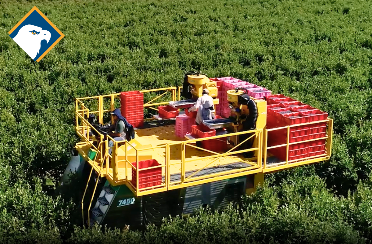 A yellow Oxbo brand harvesting machine with people and red crates on the ride-on portion in a green field.

Tags: Agricultural totes, Agricultural bins, Farm storage bins, Bulk agricultural containers, Heavy-duty farm totes, Reusable agricultural bins, Stackable agricultural totes for produce, Food-grade farm storage bins, Plastic totes for agricultural use, Ventilated harvest bins for farming, Durable bulk bins for fruits and vegetables, FDA-approved agricultural containers, Ventilated fruit bins for harvesting, Farm crates for produce transport, Agricultural storage solutions, Sustainable farm packaging, Buy agricultural totes near me, Wholesale farm bins for sale, Best bins for farming operations, Agricultural storage suppliers USA, Farm storage totes, Heavy-duty agricultural containers, Bulk farm produce bins, Reusable field totes, Agricultural transport bins, Large farm storage totes, Plastic farming bins, Harvest totes for farms, Ventilated fruit bins, Stackable vegetable bins, Orchard harvest crates, Vineyard harvest bins, Grape harvesting totes, Food-safe produce bins, Plastic agricultural totes, Wooden farm crates, Metal agricultural bins, Collapsible farm totes, Injection-molded produce bins, HDPE farm storage bins, Livestock feed storage bins, Agricultural transport containers, Farm seed storage bins, Dairy farm storage solutions, Poultry farm plastic totes, Grain storage containers for farms, Recyclable farm totes, Sustainable agricultural bins, Eco-friendly produce storage containers, BPA-free farm totes, Reusable farm produce bins, Bulk purchase agricultural bins, Wholesale farm totes, Commercial harvest crates, Industrial farming storage bins, Large-capacity farm bins for sale, Where to buy farm totes, Agricultural bins supplier near me, Best farm totes for harvest, Affordable agricultural containers.